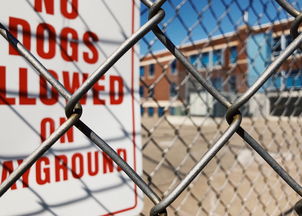 开云官网-青少年安全教育模式，青少年安全教育模式是什么